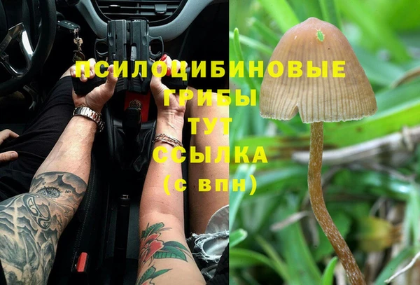 a pvp Алексин